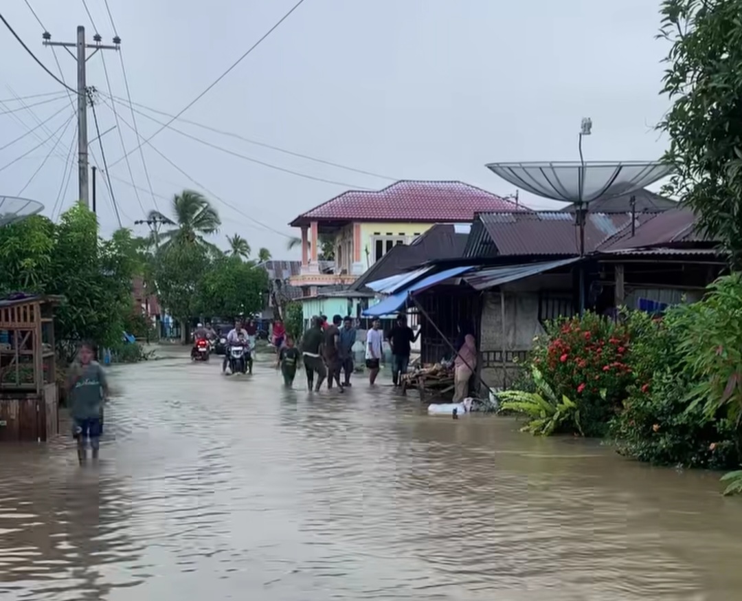 Tanaman Padi Terendam, Aek Rantopuran & Aek Kitang Meluap, Lima Desa di Kec.Panyabungan Dilanda Banjir